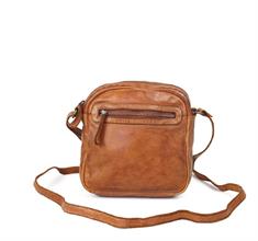 BEAR DESIGN Cl35952