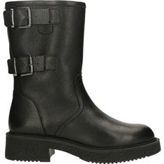 BULL BOXER 55501e6l