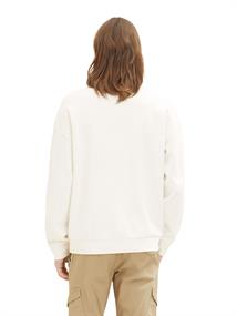 TT DENIM 1035664