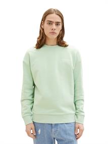 TT DENIM 1035671