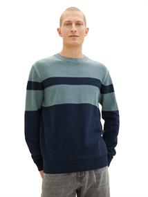 TT DENIM 1038207